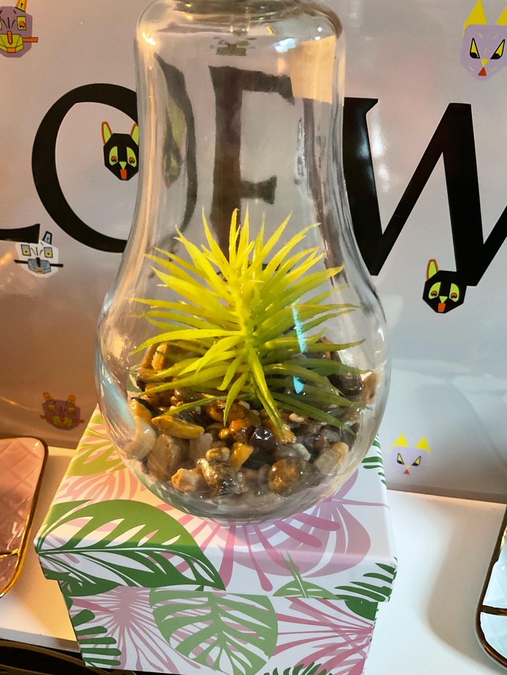 Solar Powered Glass Bulb Terrarium with Faux Succulent - Clear - Picture 6 of 6